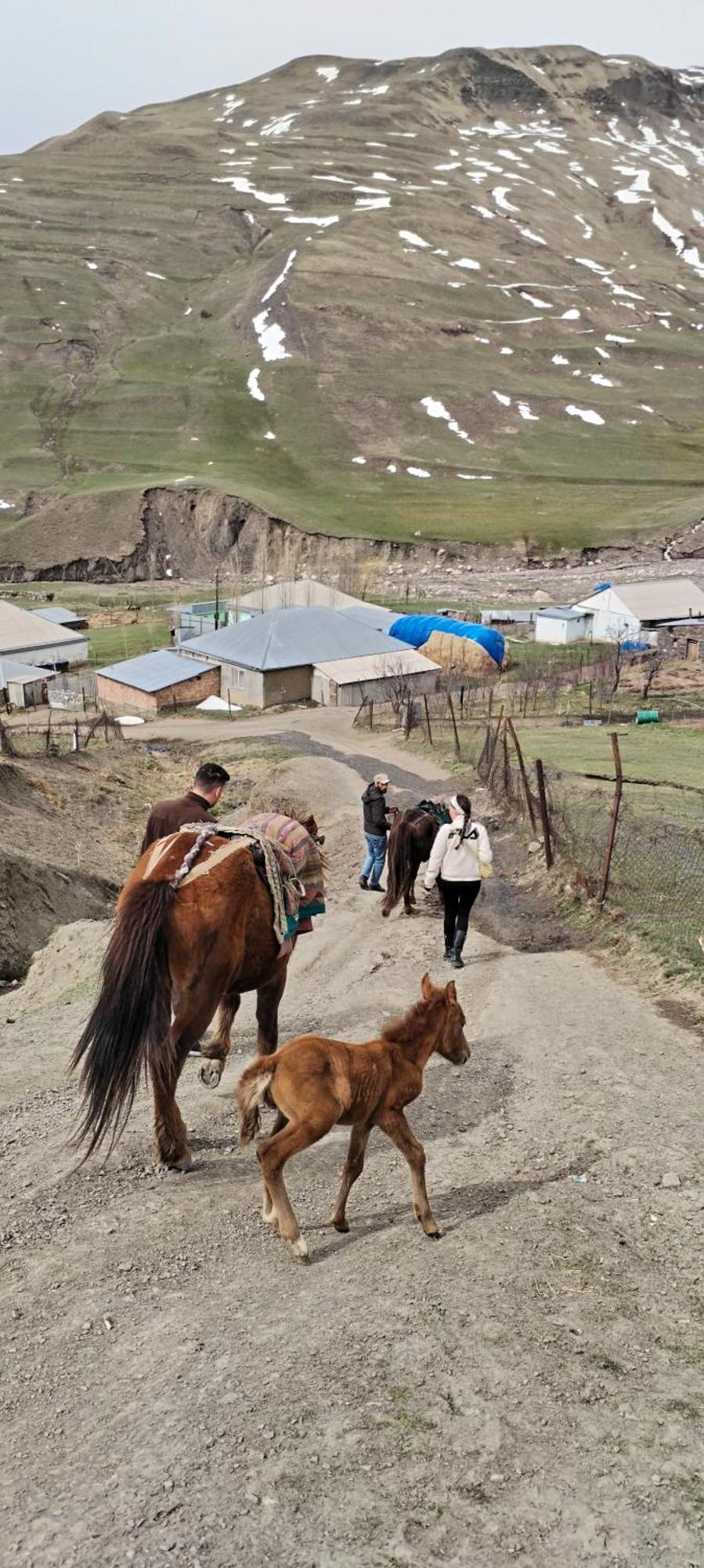 Xinaliq Elnur Guest House, New Hotel Eksteriør bilde